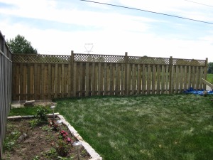 Steve and Kath's fence