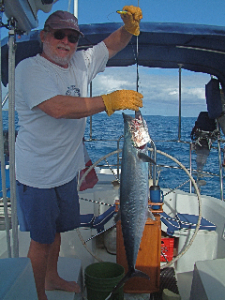 17 lb king mackerel